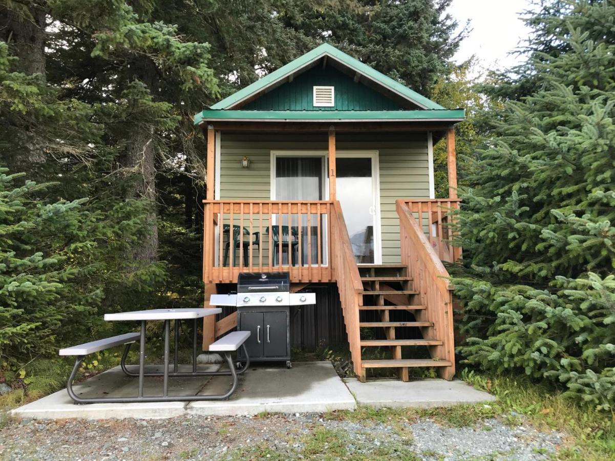 Cabin 3 Lynn View Lodge Haines 外观 照片